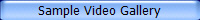 Sample Video Gallery